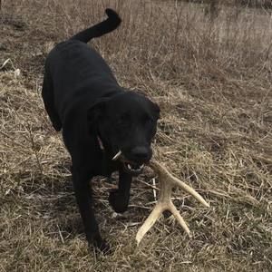 Meet your Posher, Travis